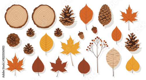 Collection of autumn elements including leaves, pine cones, acorns, and wood slices.