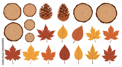 Autumn themed illustration with wood slices, pine cones, and fall leaves.