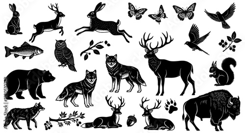 Wildlife forest animals engraving collection