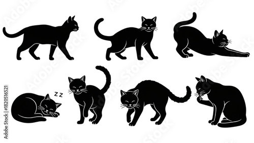 Black Cat Silhouettes A Diverse Collection of Feline Poses and Activities