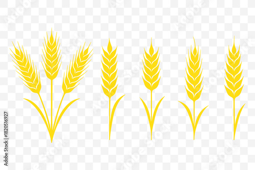Wheat spikes, Wheats ears icon set, Harvest wheat grain, growth rice stalk and whole bread grains or field cereal nutritious.