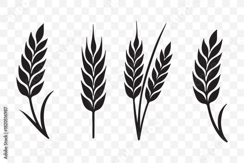 Wheat spikes, Wheats ears icon set, Harvest wheat grain, growth rice stalk and whole bread grains or field cereal nutritious.