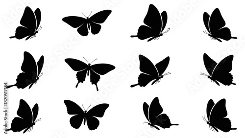 Collection of Silhouettes of Butterflies in Various Poses and Movements