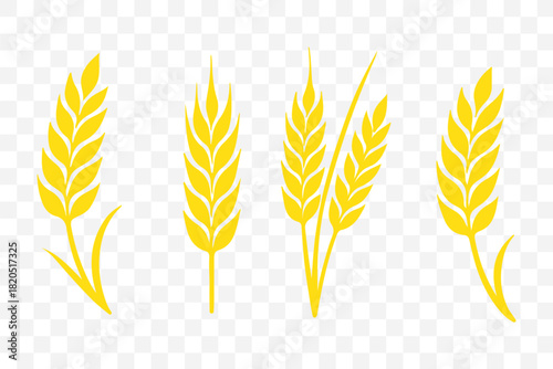 Wheat ear icons set vector silhouettes. Black wheat spikelet vector collection. Set of wheat stalk. Cereal plant silhouettes. Wheat silhouettes. Wheat vector icons. Design eps 10