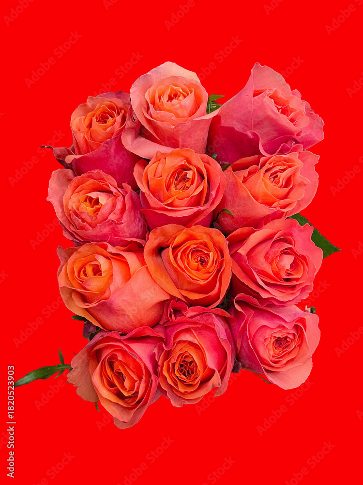 Obraz premium bouquet of roses monochrome