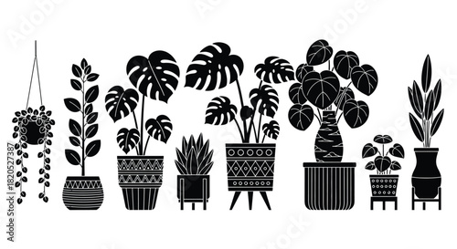 Black and white vector illustration of various potted houseplants