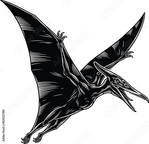 Pterodactyl illustration vector art flying dinosaur drawing extinct era eps silhouette