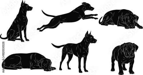 Black dog breeds vector art illustration set canine silhouettes design eps