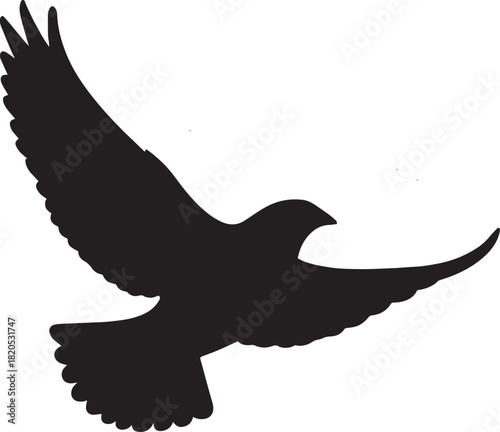 black and white silhouette of a bird in mid-flight with wings slightly curved and tail feathers fanned out