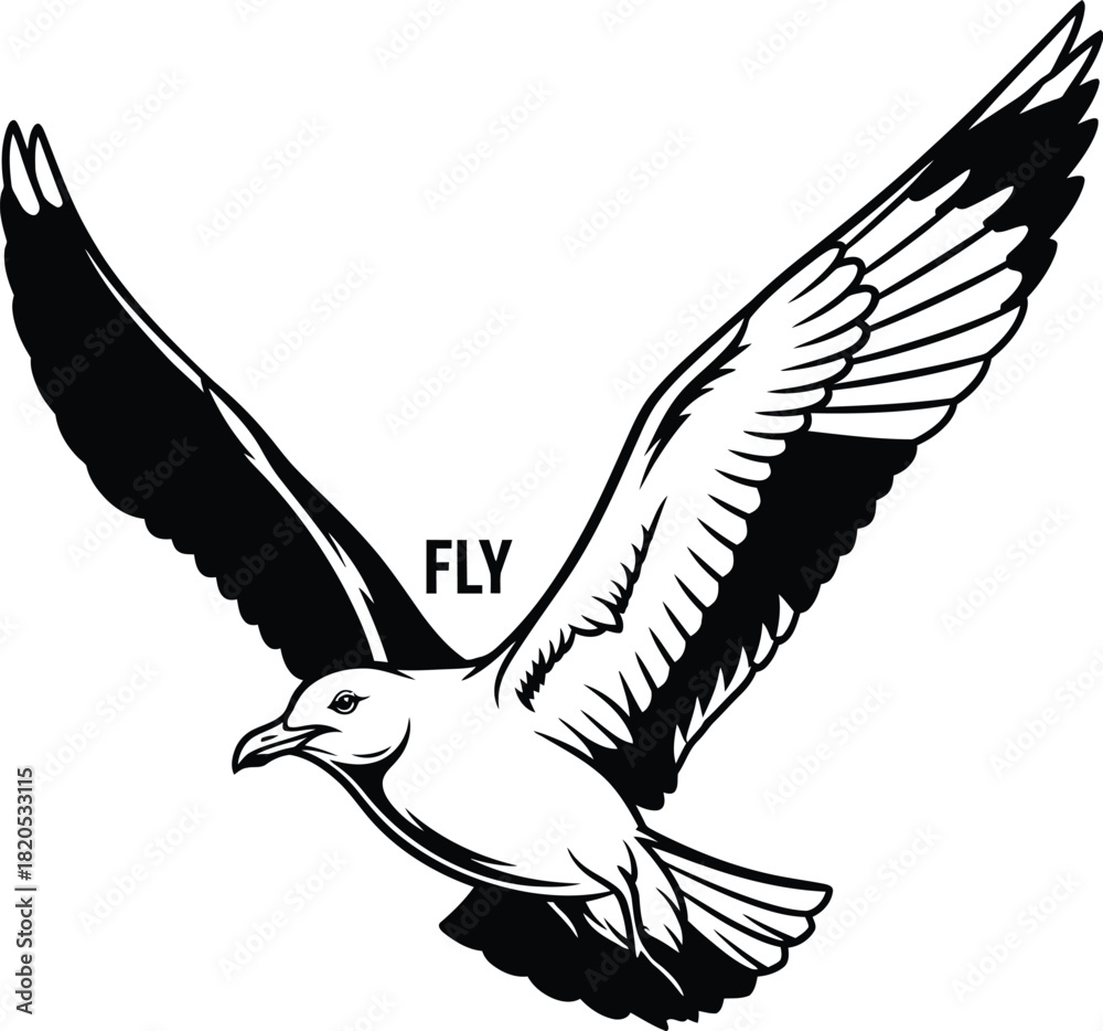 Obraz premium Flying seagull vector illustration bird in flight black and white art eps silhouette