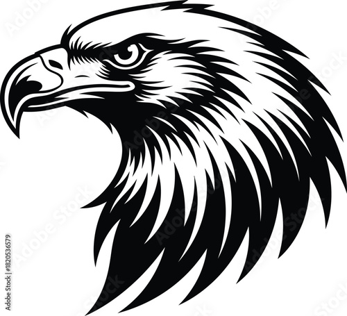 Eagle head vector graphic american bald eagle illustration drawing eps silhouette