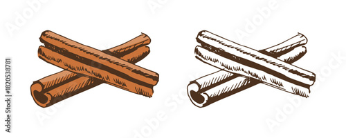 Hand drawn vintage sketch of cinnamon sticks in color and monochrome, isolated vector food spice illustration