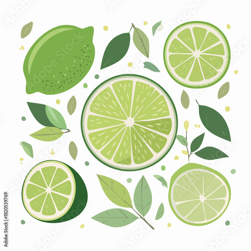 Collection of contemporary posters with cut limes. Whole lime, halves and slices vector illustrations in creative style.