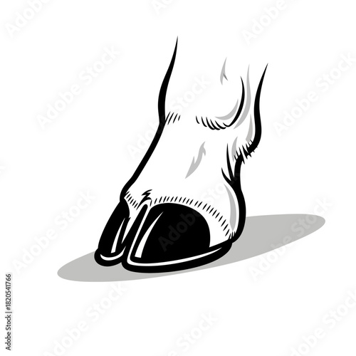Vector illustration of a cloven hoof, representing a cow or similar ungulate foot, vector illustration