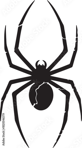 Black Silhouette of a Spider with Cracked Texture on White Background insect arachnid on transparent background