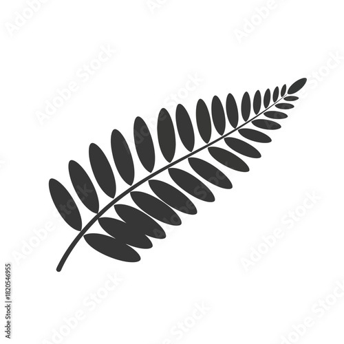 Simple black silhouette of a fern frond leaf, botanical graphic element vector illustration