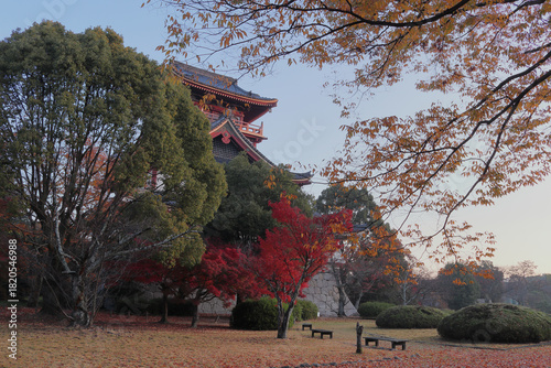京都　伏見桃山城　秋の早朝の風景