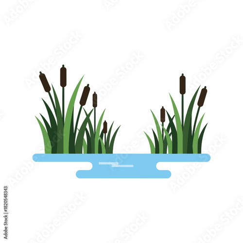 Cattails in pond flat design vector illustration