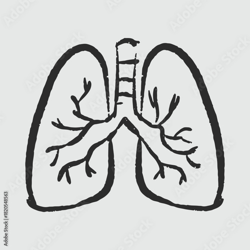 Illustration of an Handdrawn Doodle Human Organ lungs