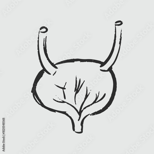Illustration of an Handdrawn Doodle Human Organ bladder