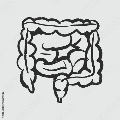 Illustration of an Handdrawn Doodle Human Organ intestine