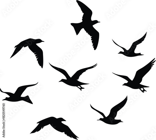 A flock of black silhouette birds soaring freely against a completely white background