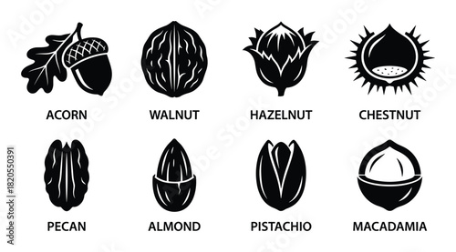 Black and white nut icons. Acorn, walnut, hazelnut, chestnut, pecan, almond, pistachio, macadamia symbols.