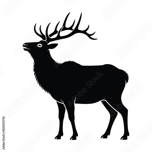 Black silhouette of a majestic stag or elk with large antlers, standing and looking up, isolated on