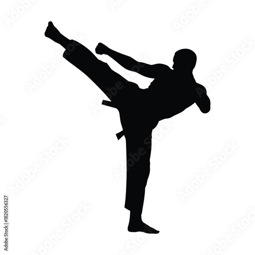 Striking black silhouette of a martial arts practitioner delivering a precise high kick, symbolizing combat, training, and selfdefense, isolated on