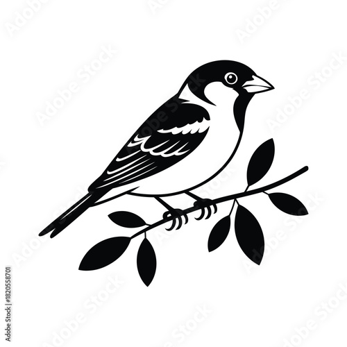 Black and white illustration of a small bird, likely a sparrow, perched peacefully on a leafy branch, isolated on
