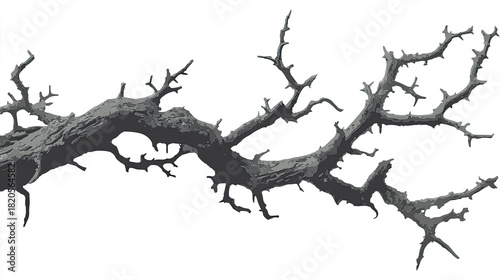 Jagged, weathered tree limb extends across a white background with detailed texture