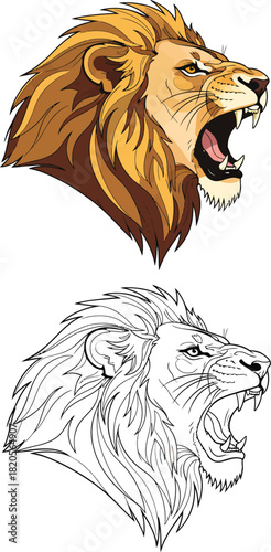 Vector illustration set of a fierce roaring lion head with a golden mane in full color and black and white outline.