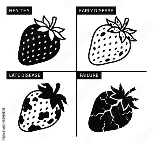 Strawberry disease progression stages. Healthy, early disease, late disease, and failure fruit icons.