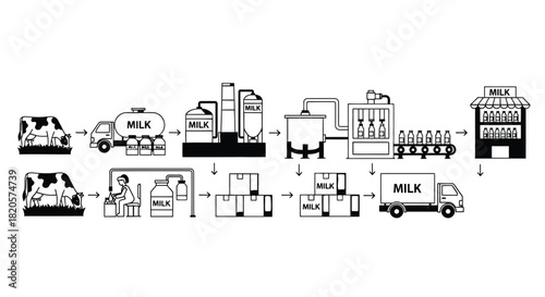 Milk production process diagram from farm to store illustration