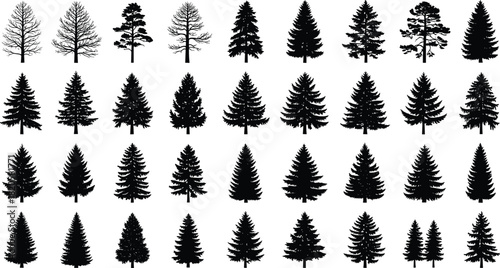 Conifer tree silhouettes, pine and fir icons, forest vector elements, evergreen shapes, botanical graphics, nature design assets, woodland illustration bundle