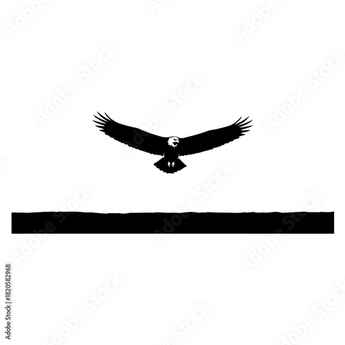 Eagle in flight silhouette isolated on transparent background