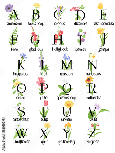vector drawing floral alphabet with wild flowers and plants, english letters and branches with green leaves and fruits, isolated at white background, hand drawn illustration