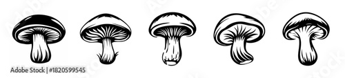 Five detailed hand-drawn black and white mushroom illustrations showing various cap and stem details