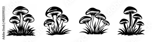 Four clusters of silhouetted mushrooms sprouting from grassy earth in a unique artistic rendering