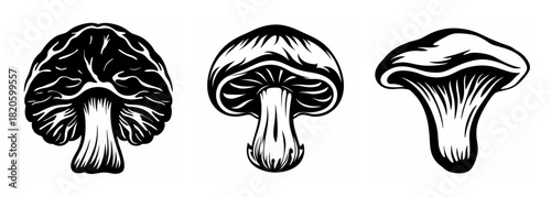 Three detailed black and white mushroom designs showcasing unique cap and stem structures