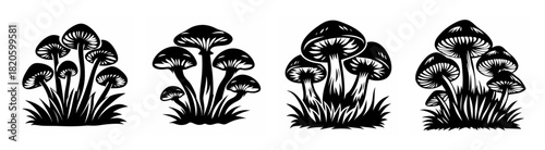 Vintage style mushroom clusters and tall stalks rendered in classic black and white detail