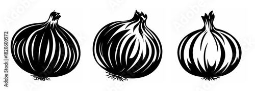 Three detailed stylized onions in a row natural food element botanical sketch realistic render