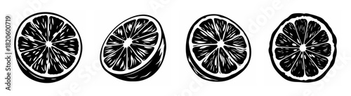 Four detailed black and white artistic slices of citrus fruit showing segments and texture