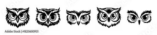 Majestic owl eyes art a captivating collection of detailed avian gaze imagery