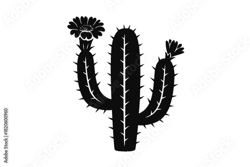 Black silhouette of a blooming desert cactus with sharp thorns and flowers