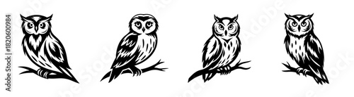 Four wise owl portraits perched on branches detailed black and white artistic rendering