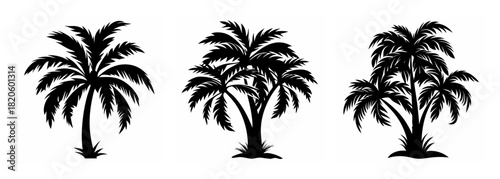 Three silhouette palm trees tropical beach island paradise vacation summer travel flora nature vegetation scenic