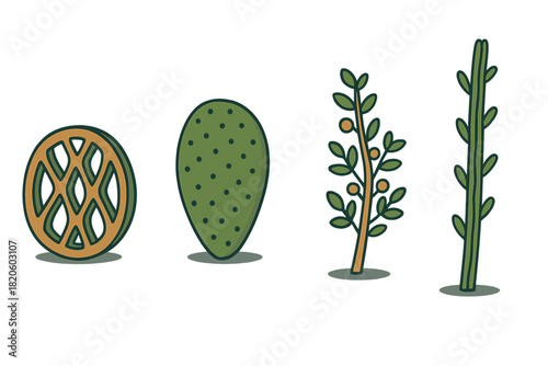 Set of four stylized desert flora elements including cactus pads and leafy branches