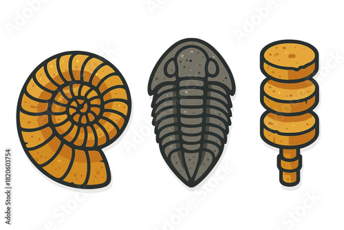 Ancient marine fossils set featuring ammonite, trilobite, and crinoid stem segments