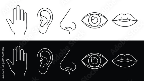 Human Sense Line Icons Set in Black and White